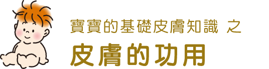 寶寶的基礎皮膚知識 皮膚的功用